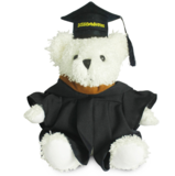 Wholesale Stuffed Plush Graduation Teddy Bear Student Gift Toys